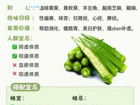 秋葵的功效与作用是什么？营养价值及食用方法详解
