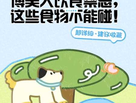 博美犬不能吃什么食物?这些食物会让它生病!