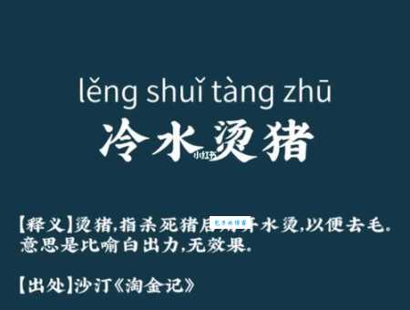 用冷水烫猪是什么意思？成语冷水烫猪的含义及例句