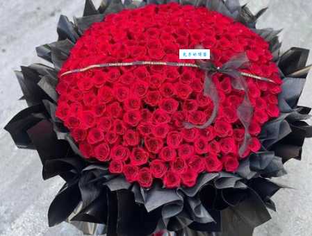 十九朵玫瑰花语大全，表达爱意最佳选择