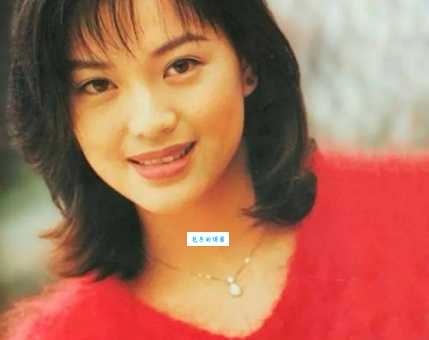 揭秘刘小慧个人资料：学生情人背后的故事