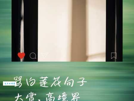 网络流行语白莲花是什么意思？小白也能轻松理解