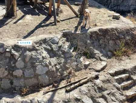 “不负春光不负卿”是什么意思？教你正确理解