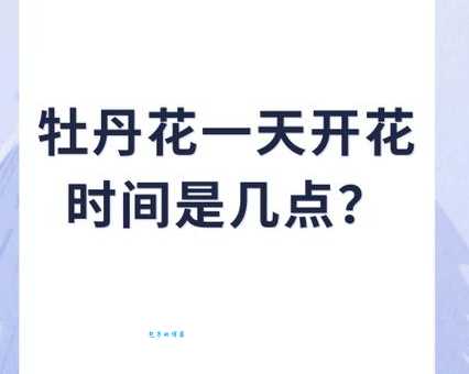 牡丹花一般几点开花？详解牡丹花开花时间