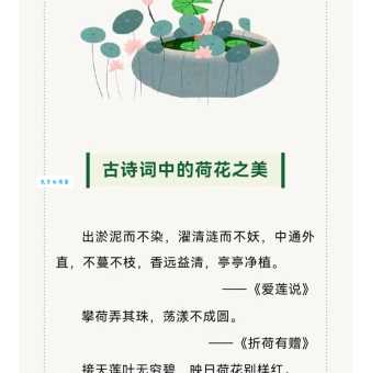 荷花代表什么？细数荷花在文学艺术中的象征意义