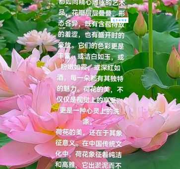 荷花代表什么？细数荷花在文学艺术中的象征意义