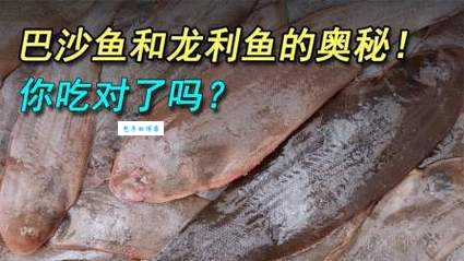巴沙鱼片与龙利鱼片：究竟是不是同一种鱼？