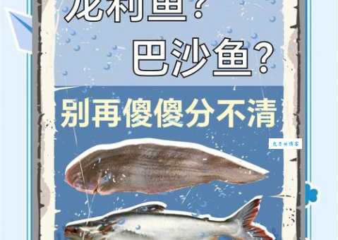 巴沙鱼片与龙利鱼片：究竟是不是同一种鱼？