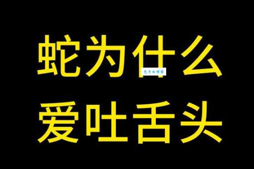 蛇不停地吐舌头，它到底在做什么？