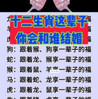 十二生肖中谁是你的红颜知己？答案就在这里！