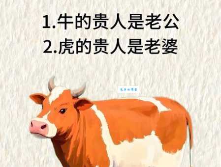 十二生肖中谁是你的红颜知己？答案就在这里！