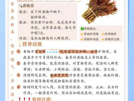 香椿芽的功效与作用大全：营养价值、食疗作用及禁忌