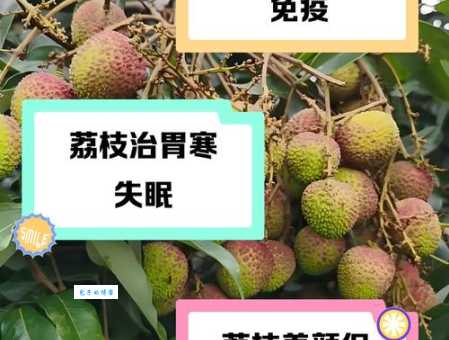 荔枝的功效与作用及禁忌人群：深度解析荔枝的营养价值