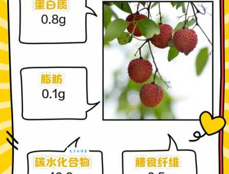 荔枝的功效与作用及禁忌人群：深度解析荔枝的营养价值