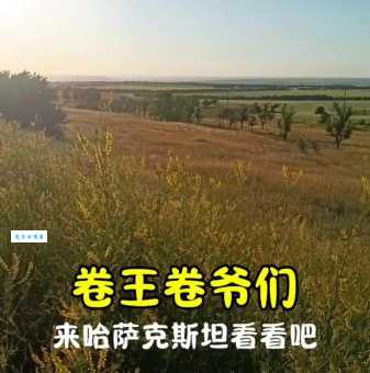 世界上最大的内陆国是哪个？答案揭晓：面积超乎你想象！