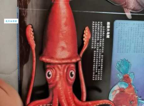 你知道哪种海洋动物拥有十只触手吗？