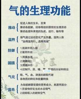 “同气”的真正含义是什么?不同解释大揭秘