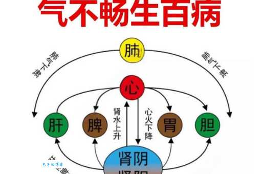 “同气”的真正含义是什么?不同解释大揭秘