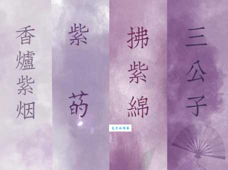 “酱紫”是什么意思?网络语和颜色含义详解