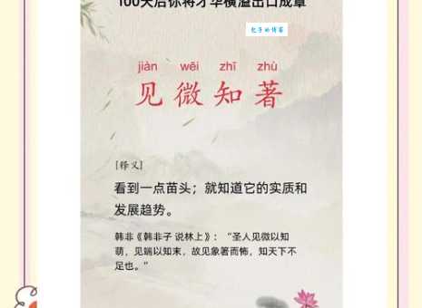 成语见微知著是什么意思？教你如何理解和运用