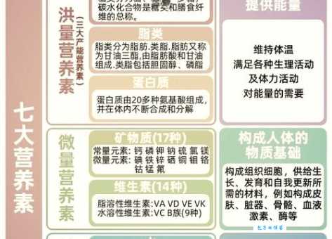 无机盐是什么？简单了解人体必需矿物质