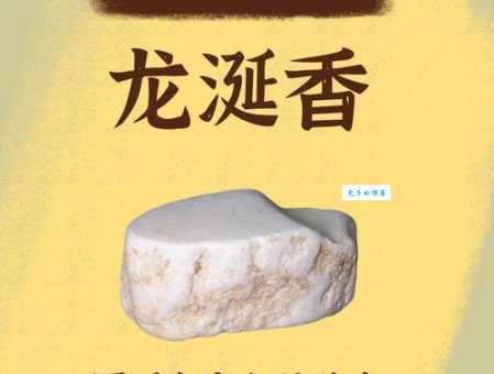 龙涎香的功效与作用：神奇的海洋珍宝，有哪些药用价值？