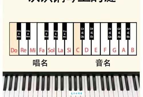 你知道吗?钢琴黑白键宽度竟然不一样!快来了解一下吧!