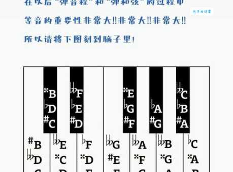 你知道吗?钢琴黑白键宽度竟然不一样!快来了解一下吧!