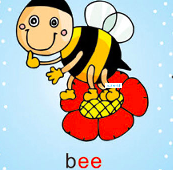 bee的英文解释和例句 bee到底指什么?