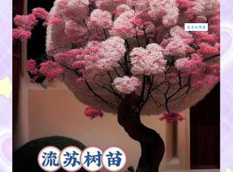 流苏的含义是什么？带你了解流苏的典故和象征意义