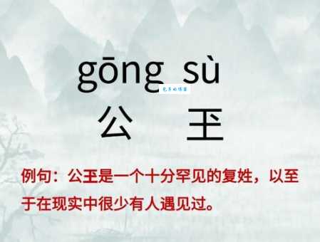 轻松搞定俣字读音，附详细解释和例句