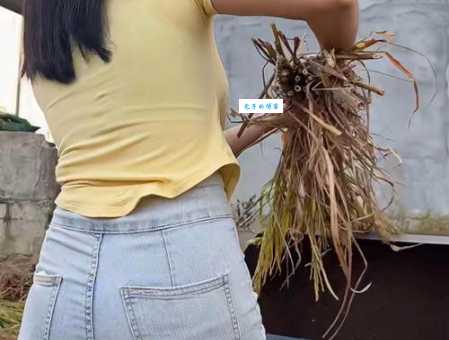 女汉子是什么意思？揭秘“女汉子”的性格特点