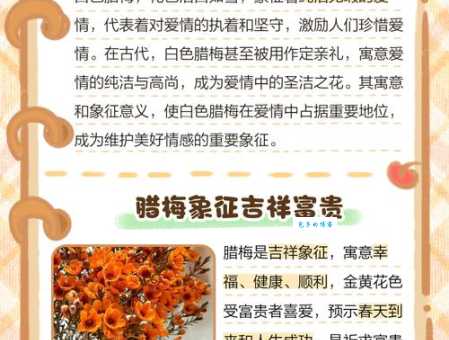 品读腊梅：探究其寓意和象征的文化内涵