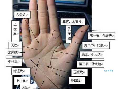 什么是事业线？如何解读手相中的事业线走向？