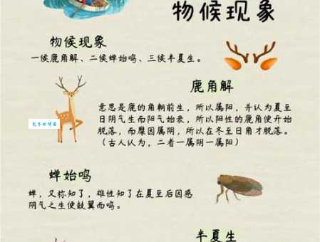 夏至代表什么含义？揭秘夏至节气的文化寓意