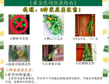 如何正确地将艾草挂在门上？图文详解避开误区