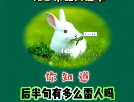 俗语“兔子不吃窝边草”背后的生存秘密