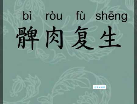 详解髀肉复生的意思和典故,你真的了解吗?