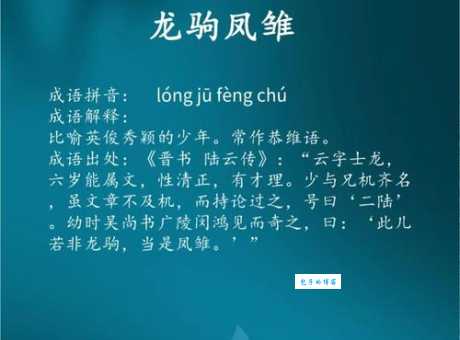 龙吟凤哕是什么意思？带你了解这个优美的成语