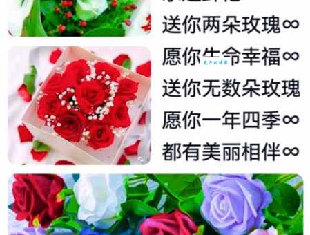 玫瑰花到期了，想表达思念？试试这些温柔话语