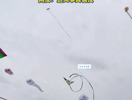 潍坊风筝节奇葩风筝，意外放飞打工人心声