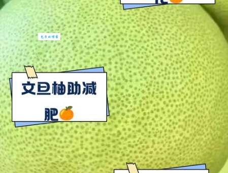 文旦是什么水果？文旦的热量和糖分含量是多少？