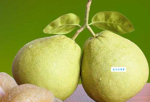 文旦是什么水果？文旦的热量和糖分含量是多少？