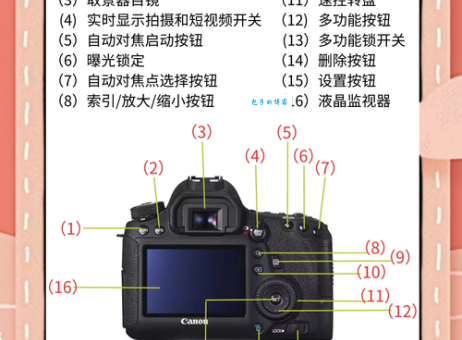 单反数码相机入门指南:简单易懂的讲解与实用技巧
