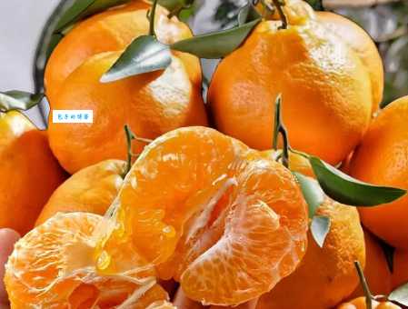 耙耙柑:好吃到让人想分享的讨好型水果