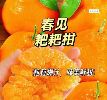 耙耙柑:好吃到让人想分享的讨好型水果
