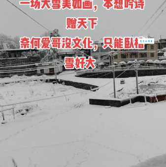 瑞雪兆丰年接什么话最合适?有哪些表达方式?