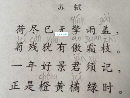 “擎雨盖”是什么意思?简单解释诗句中“擎雨盖”的含义和象征。
