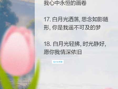 白月光是什么意思？爱情里白月光代表什么？