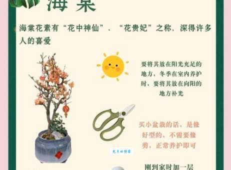 盆栽海棠花如何养护？教你几招简单易学的养花技巧